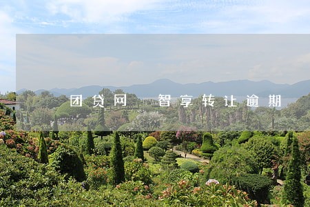 团贷网 智享转让逾期 团贷网 智享转让逾期